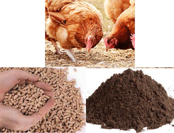 مدیریت نماتد با تغذیه